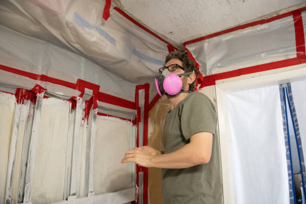  Merrydale, LA Mold Removal Pros