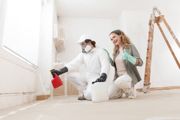 Best Attic Mold Removal  in Merrydale, LA